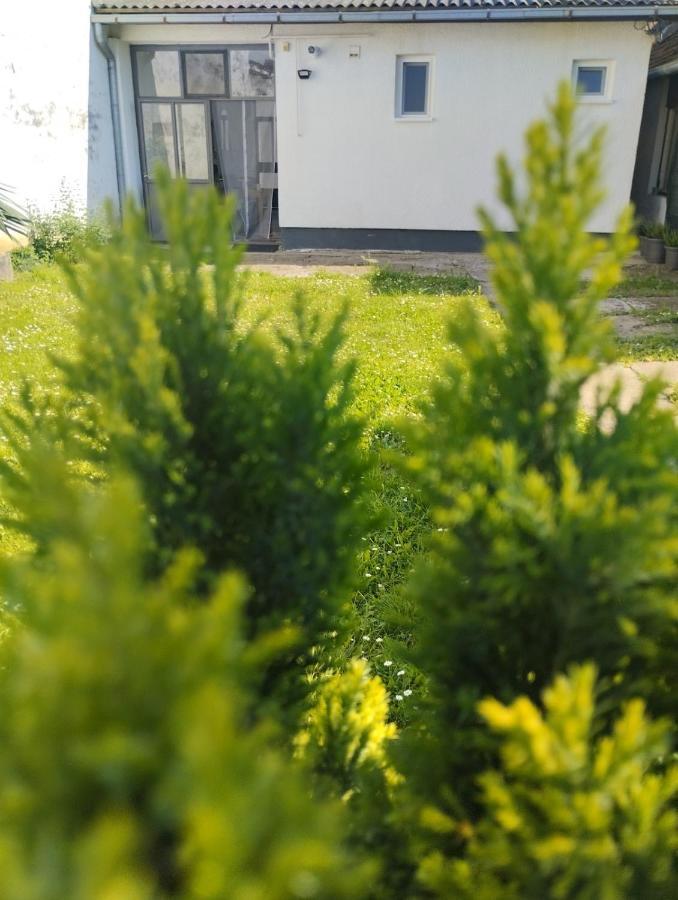 Marija Apartman Osijek Extérieur photo